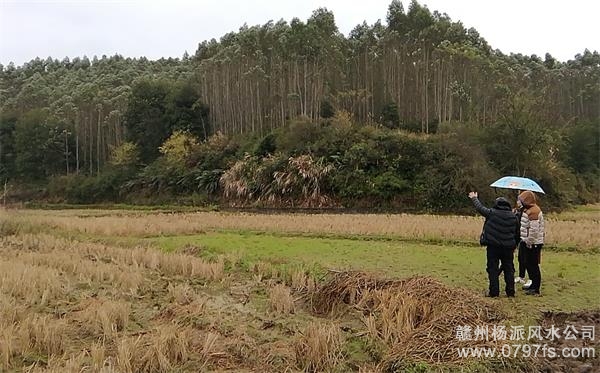 平凉市陈老师带着爱徒寻龙点穴